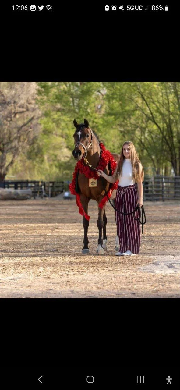 horse cock loving white girl image 2