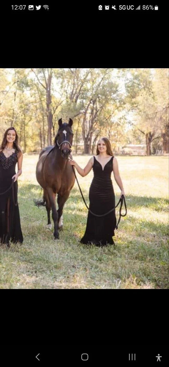 horse cock loving white girl image 4