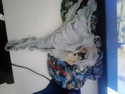 Calcinha da vadia da minha mamãe 🤤 cover image