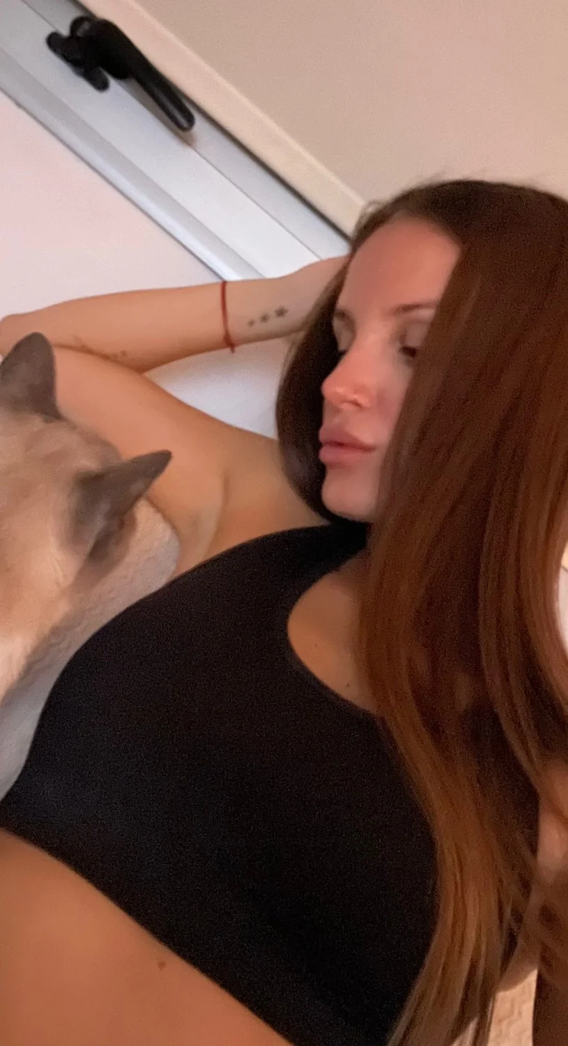 Taking a break from work and giving my cat some love image 2