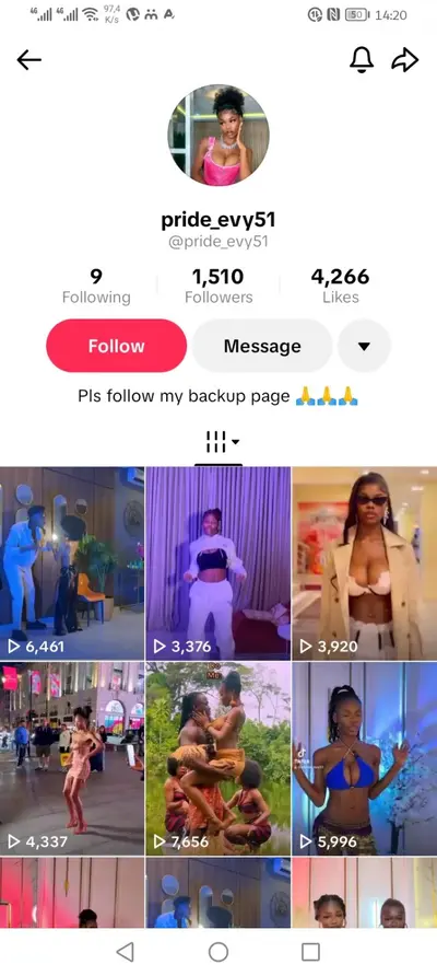 Pride Evy - Pridevips Nigerian video vixen🇳🇬 cover image