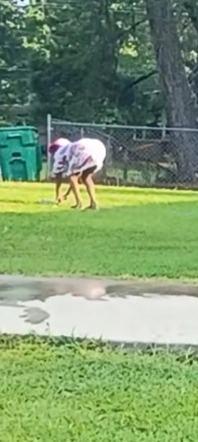 Spying on Big booty stranger granny in nightgown no panties bending ass over while I jackoff.. image 2