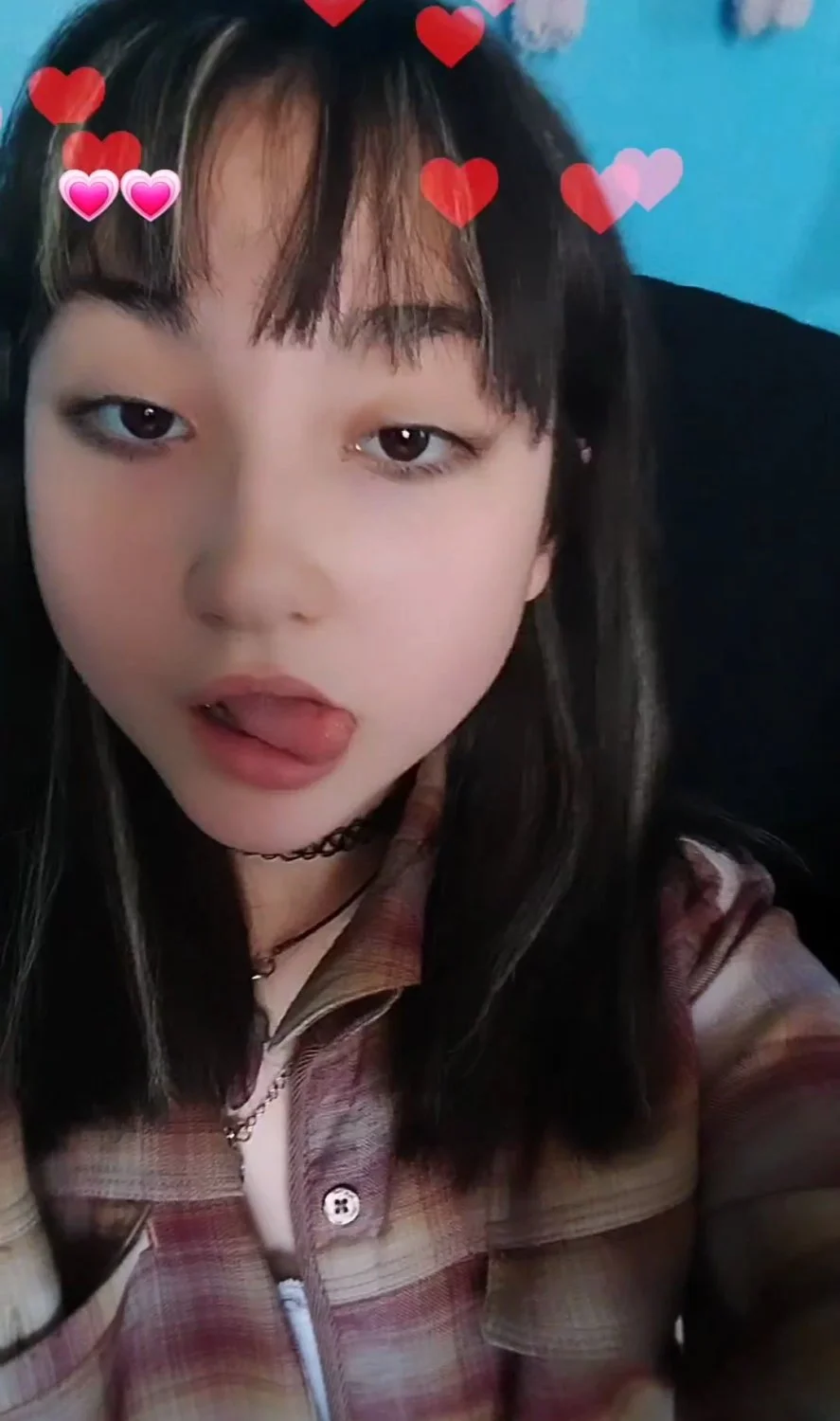 Ig Antonia_vera._ main image
