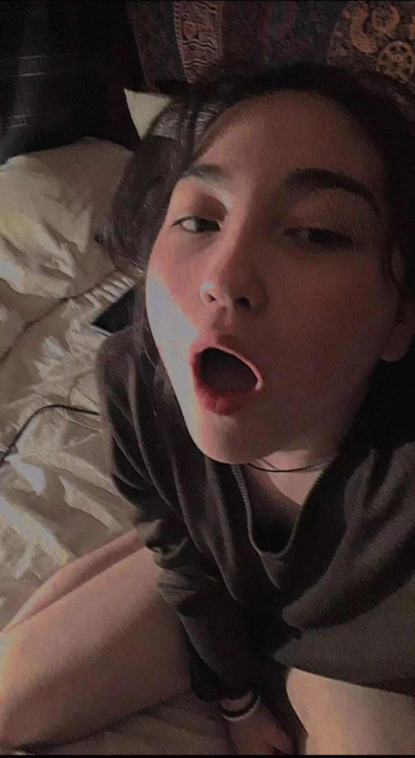 Ig Antonia_vera._ image 3