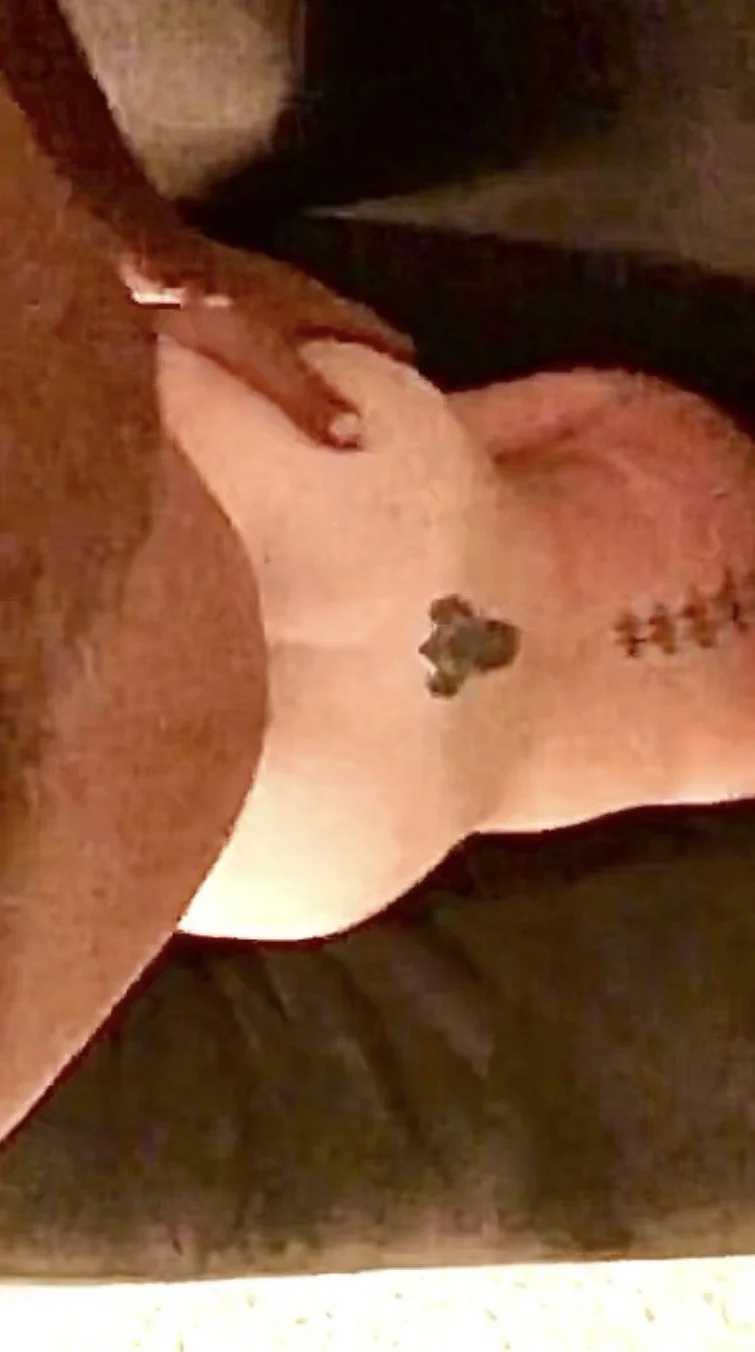 Horny MILF image 2