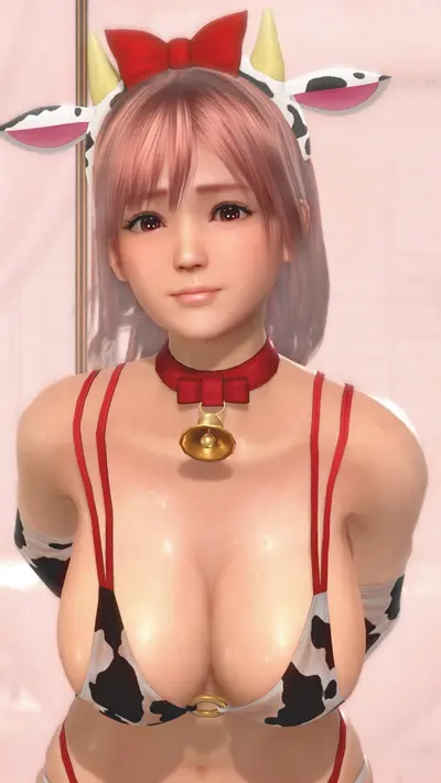 DOAXVV honoka moo-moo bikini cover image