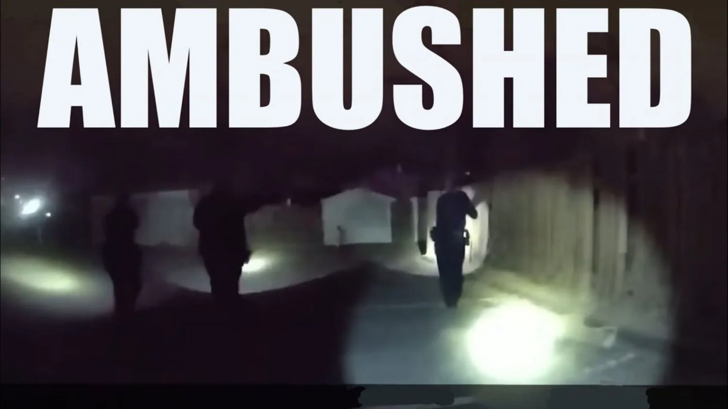 Ambushed #3 image 1