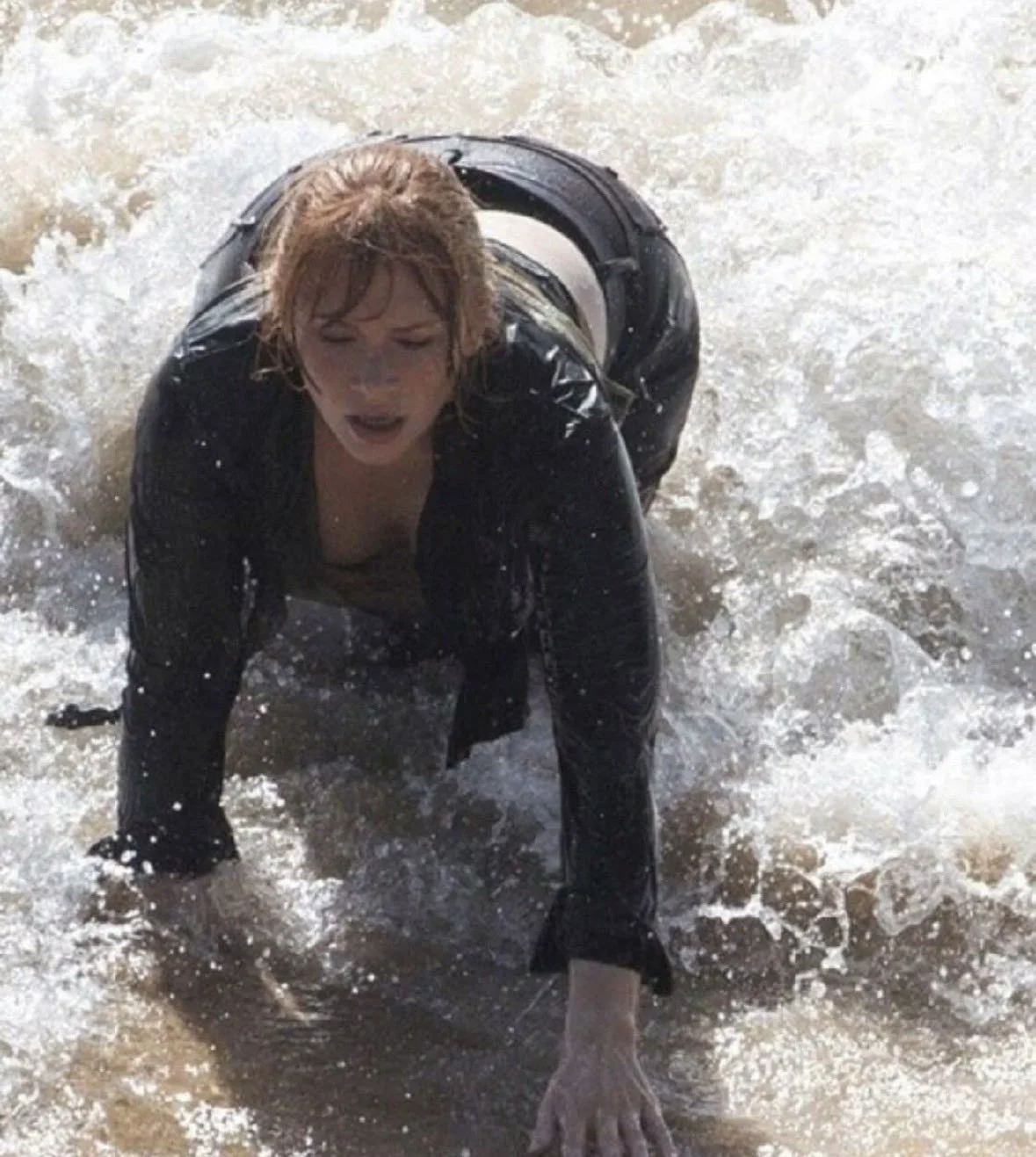 Bryce Dallas Howard image 13