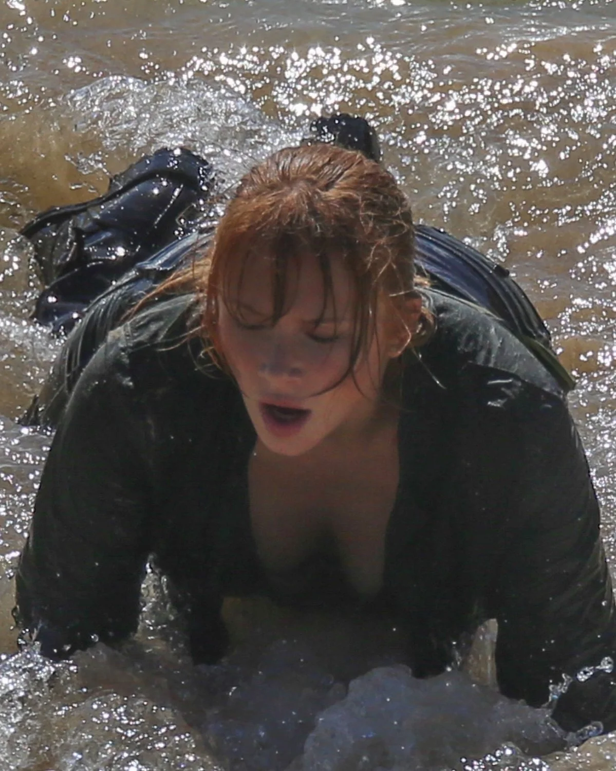 Bryce Dallas Howard image 26