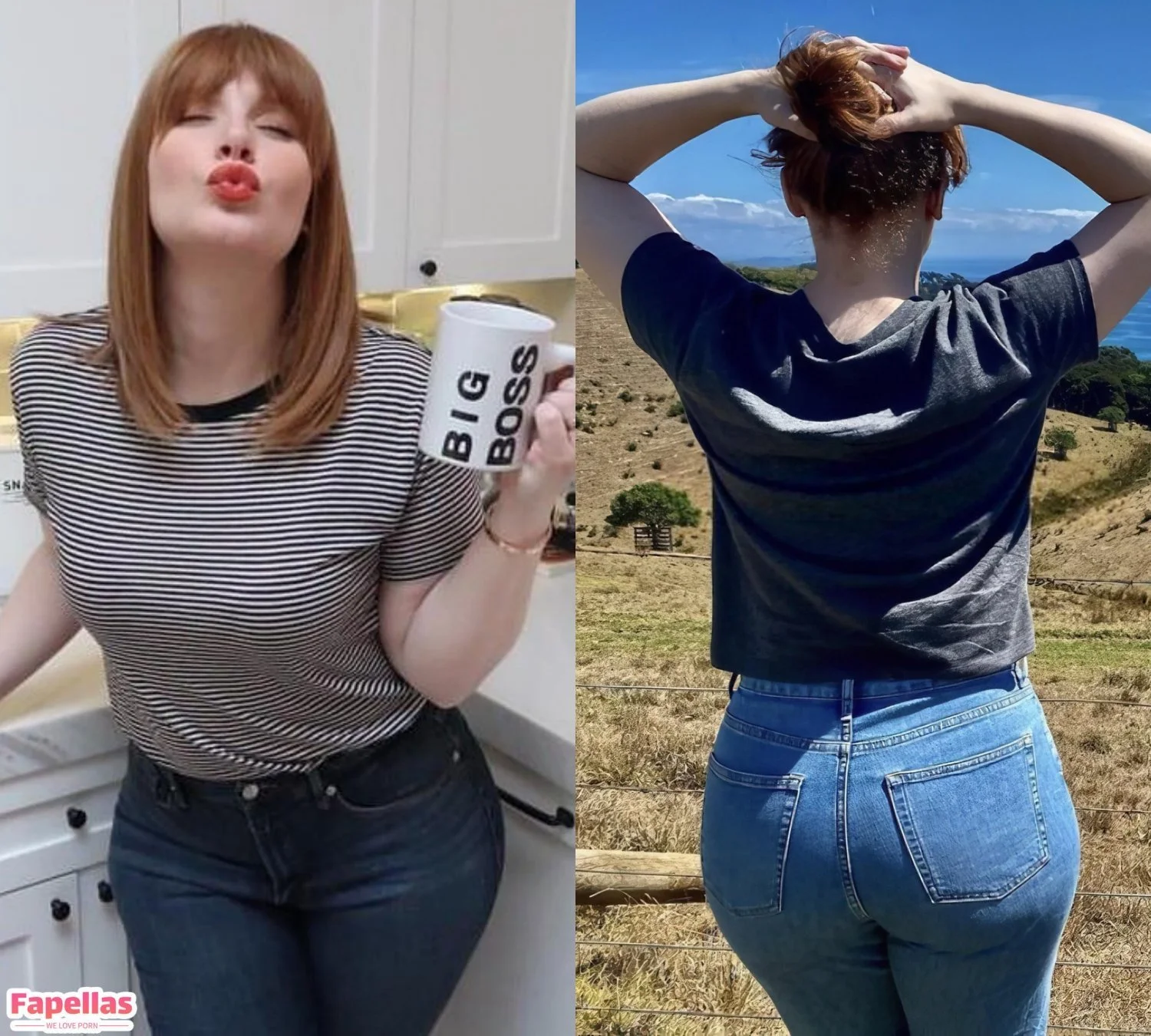 Bryce Dallas Howard image 45