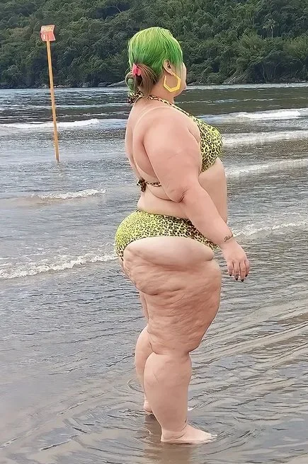 Gorda de direita palmeirense image 3