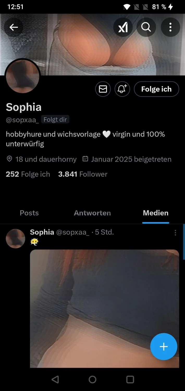 German Twitter Webslut exposed image 18