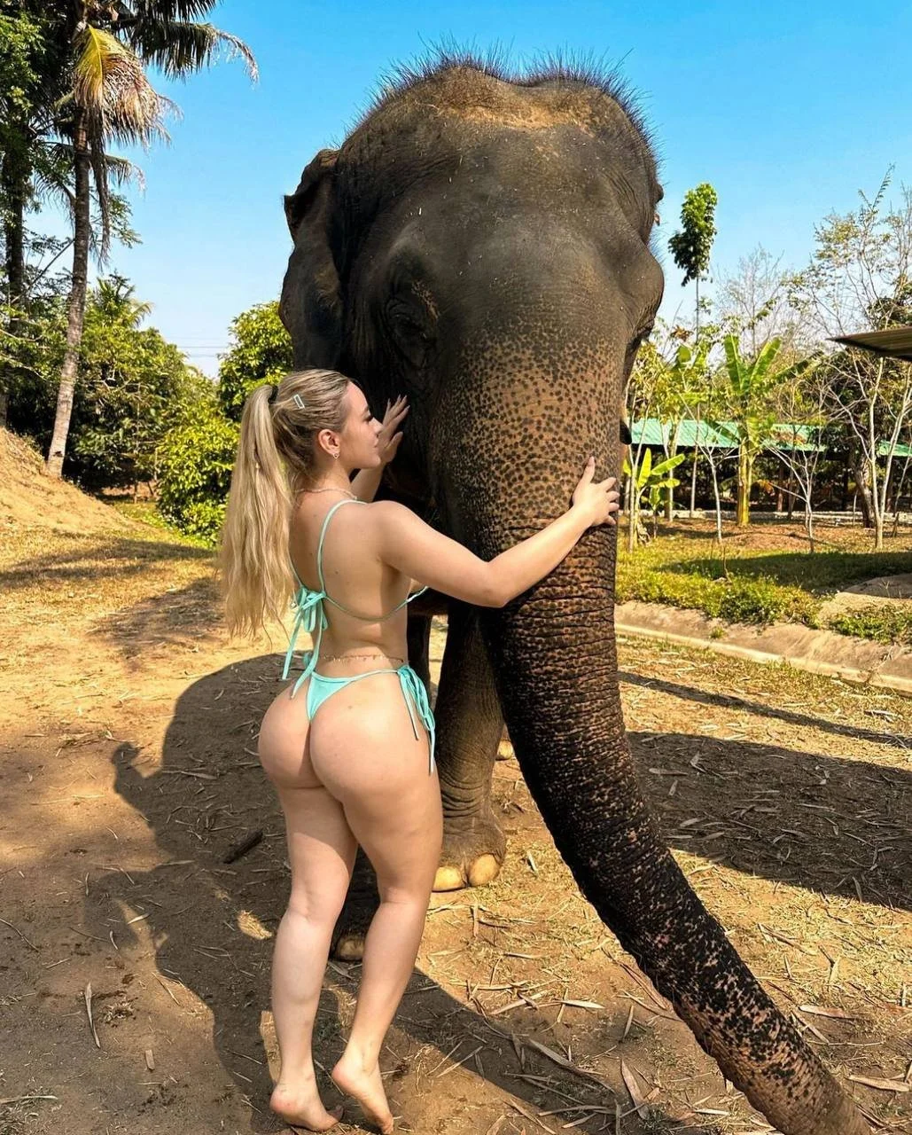 Cinthia Ortega Mexicana Puta image 3