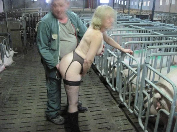 Amateurs and others. We like from WEB 3 image 15