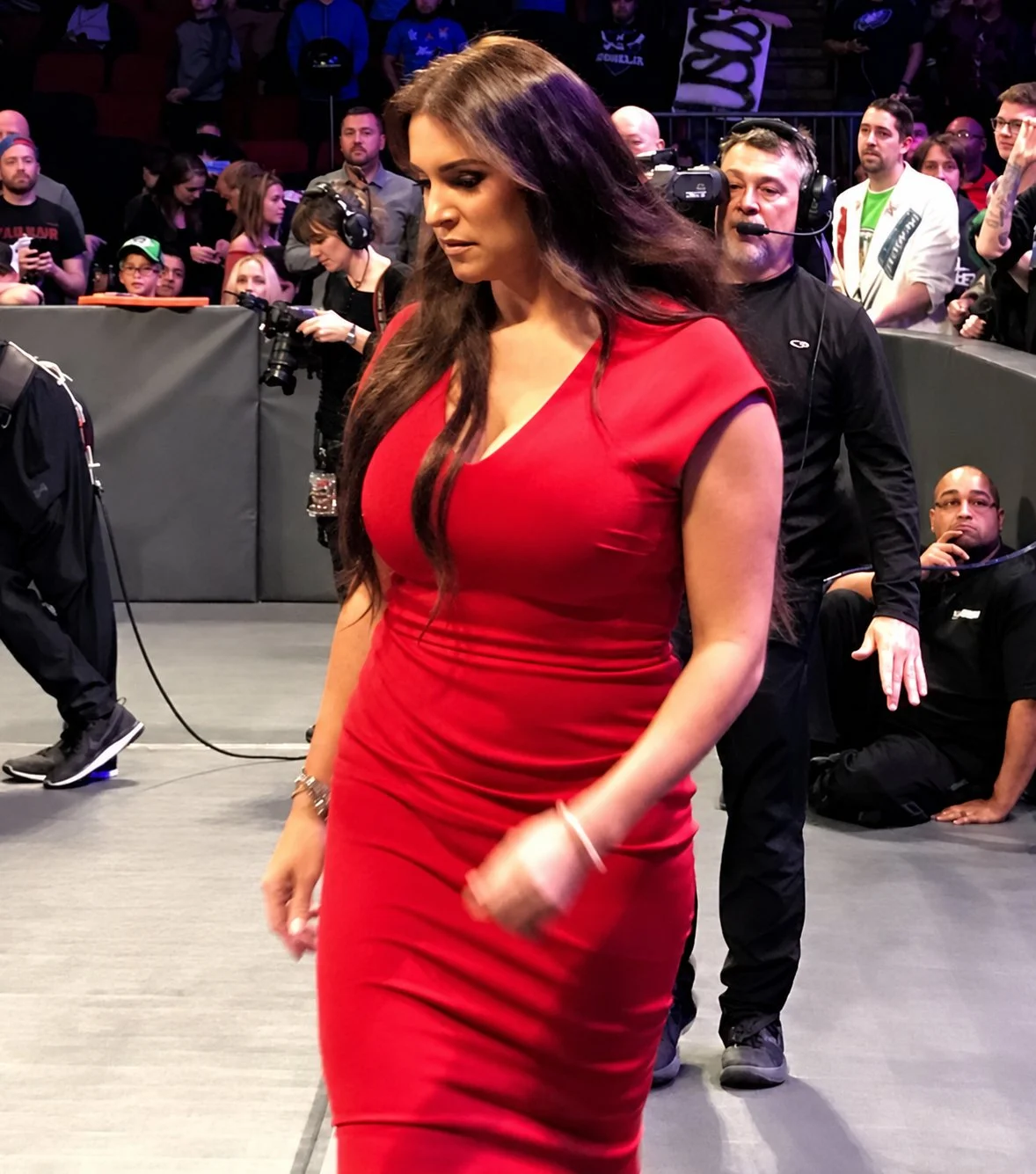 Stephanie Mcmahon image 5