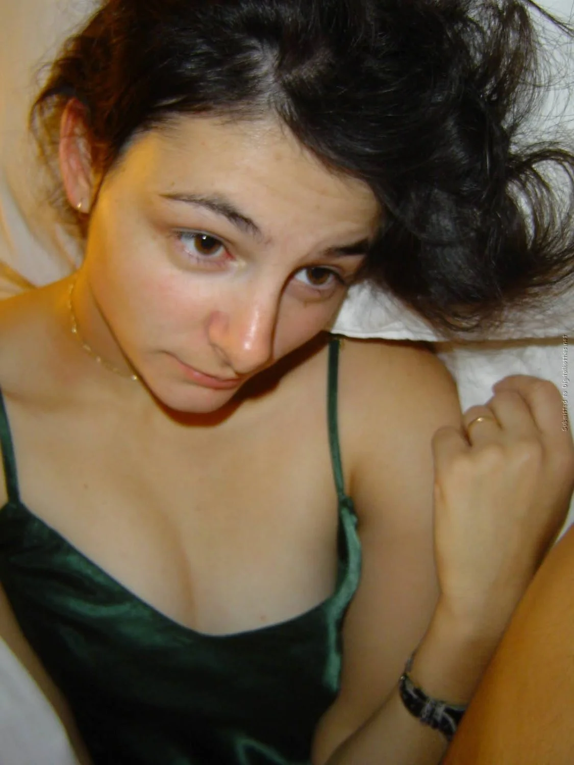 Noviagolosa image 5