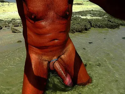 Unser täglicher Orgasmusspender cover image