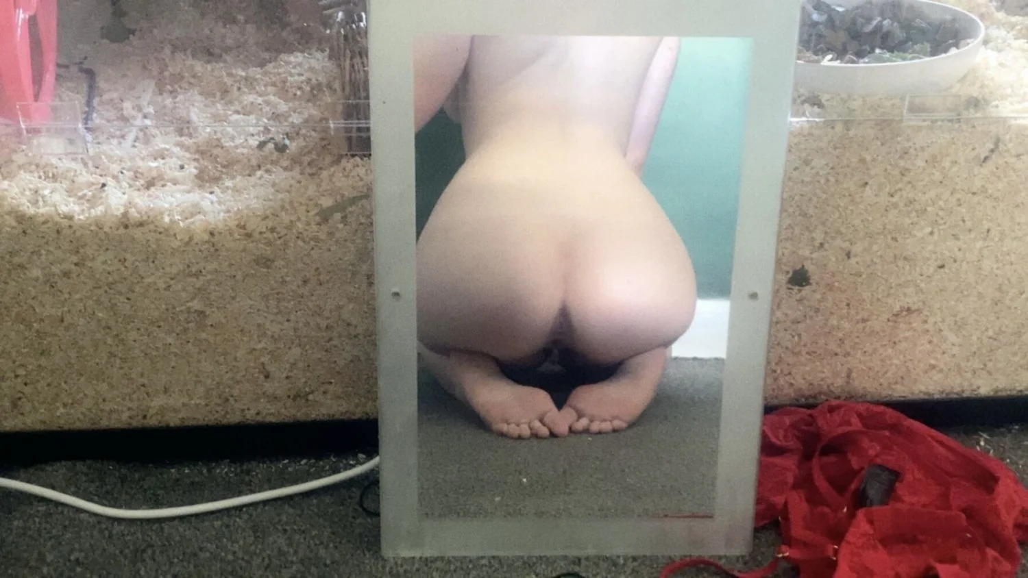 uk slut feet and footjob image 2