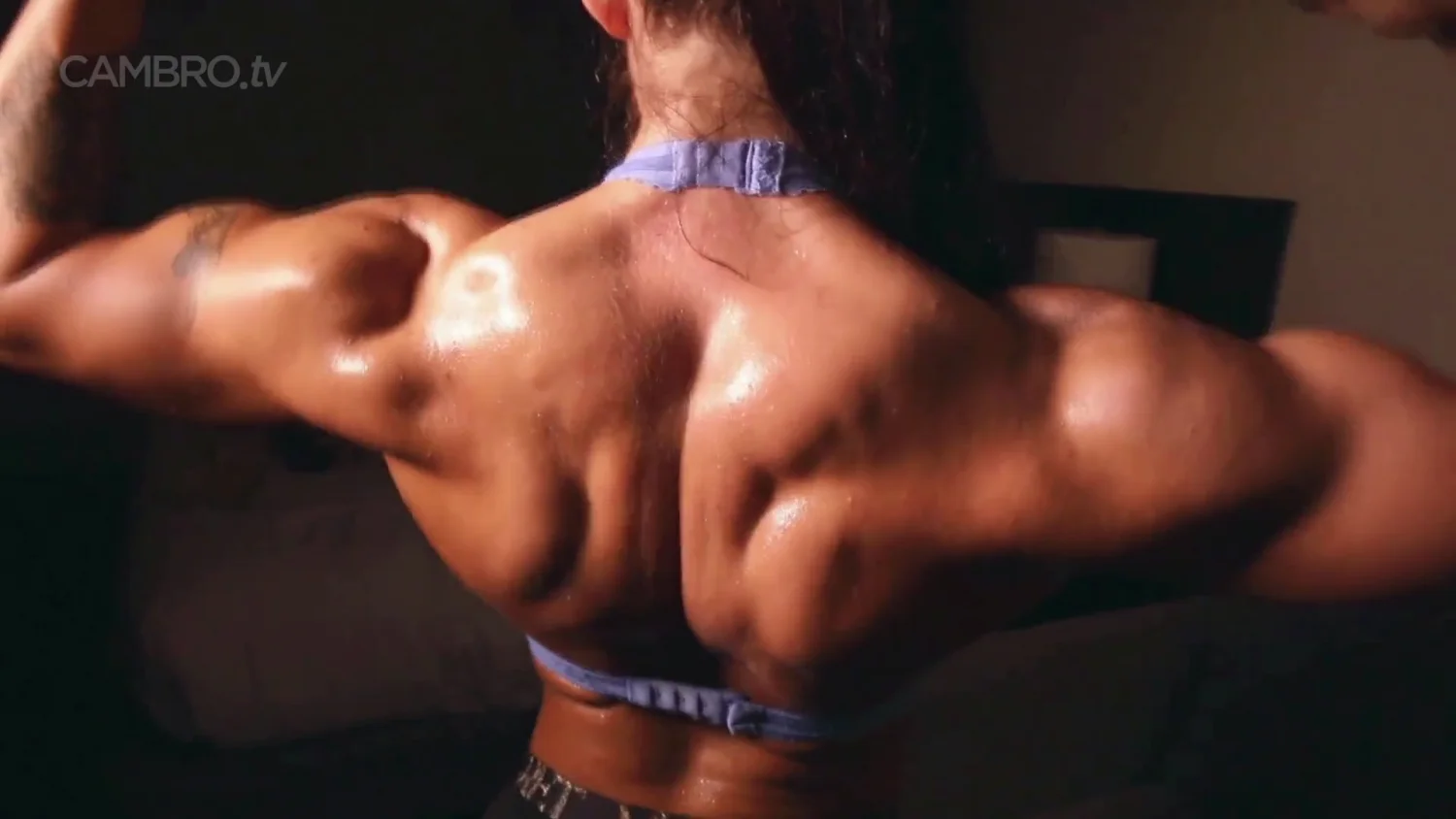 L3X4 5T4HL - Young muscular image 2