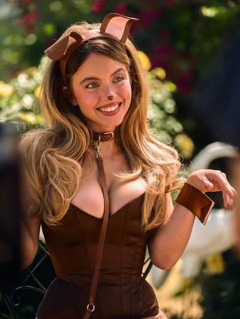 Euphoria 2026 image 4