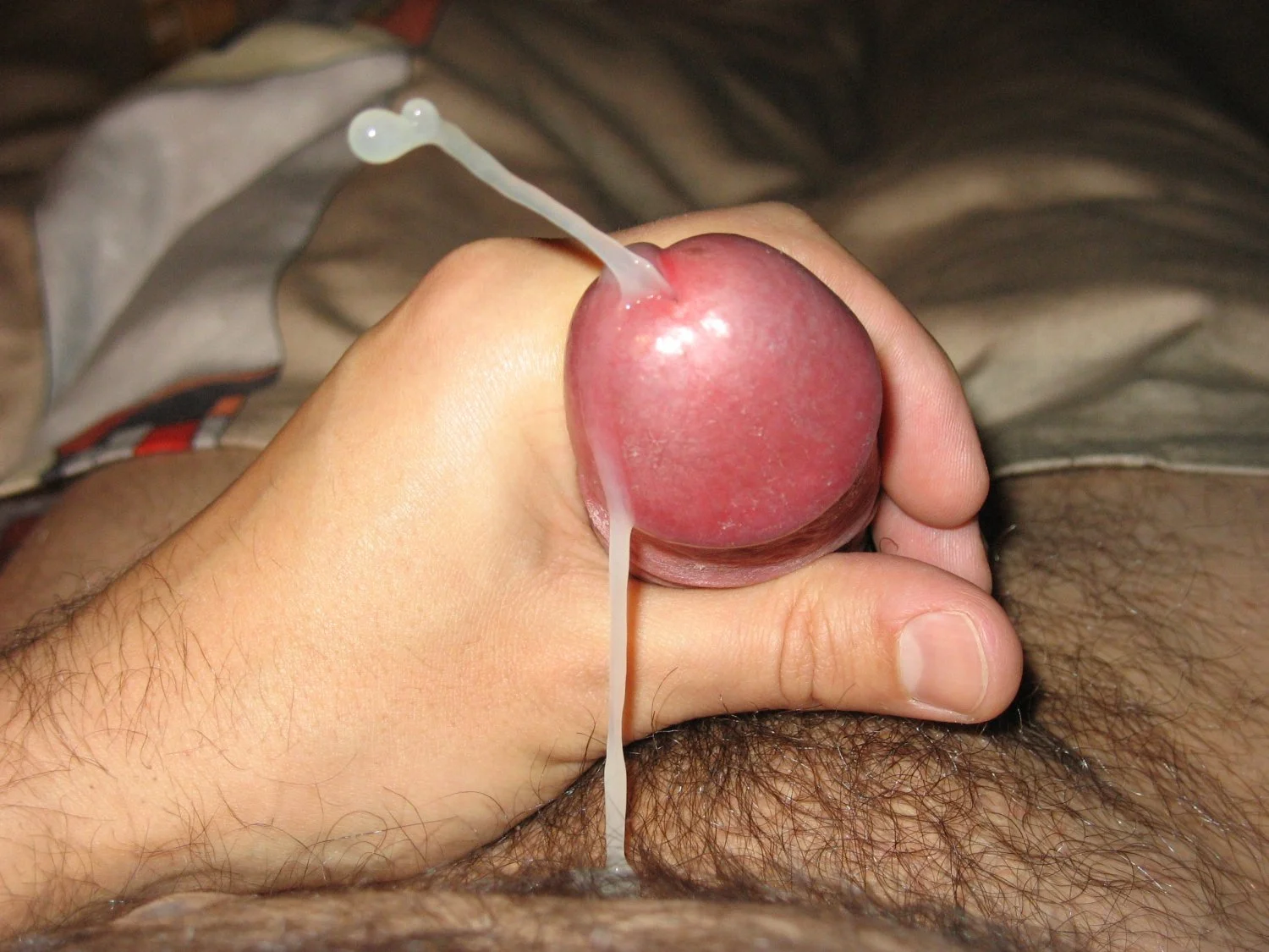 Pretty Cocks 1 image 6