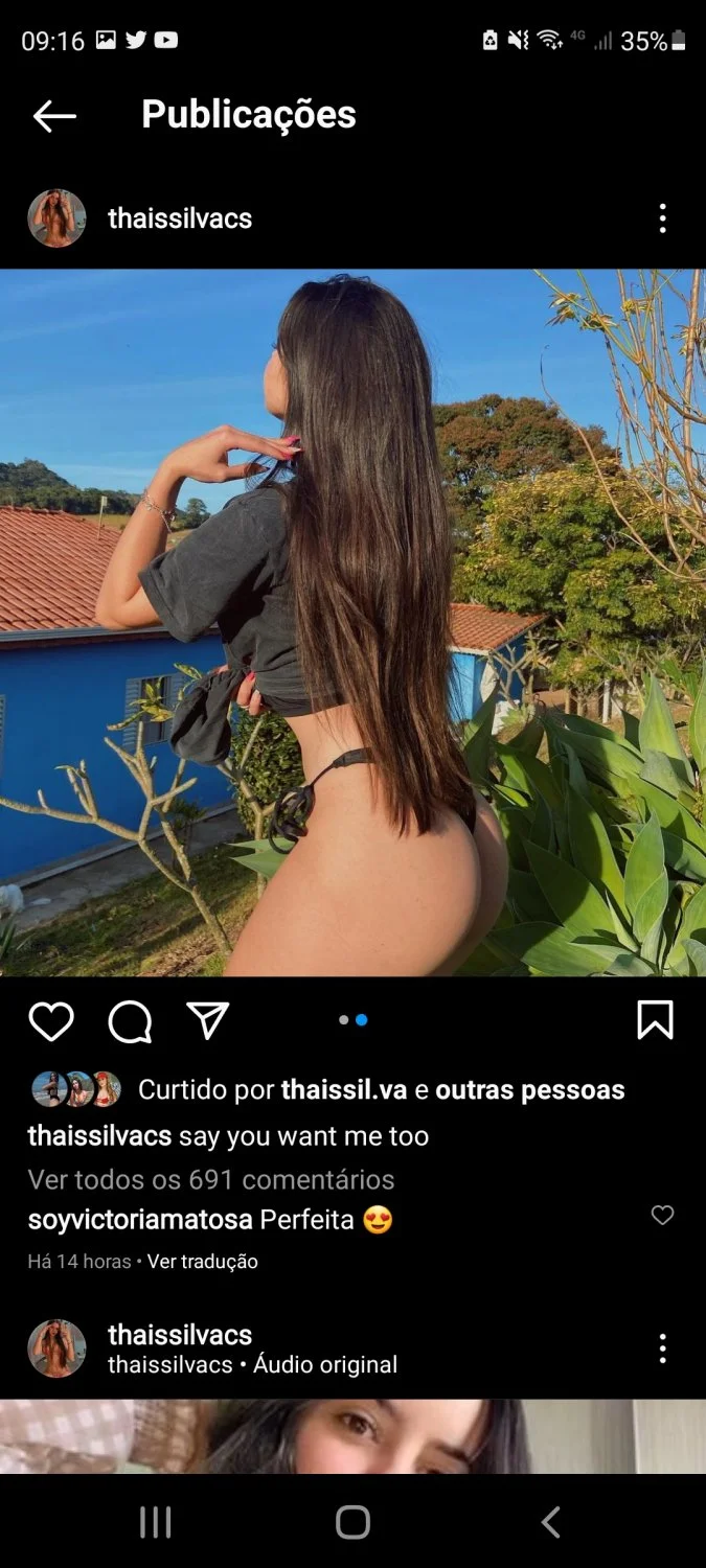 Thaissilvacs image 20