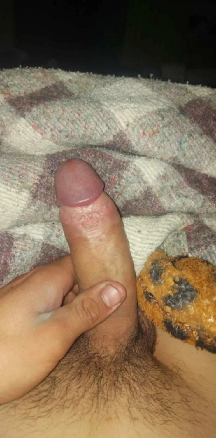 Novinho dotado de sc image 7