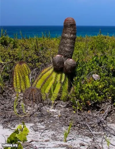 B0672B6 cover image