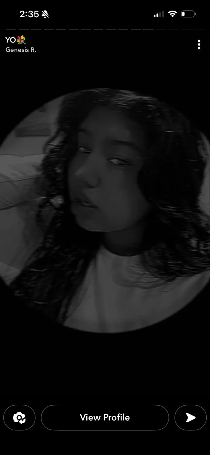 Genesis image 4