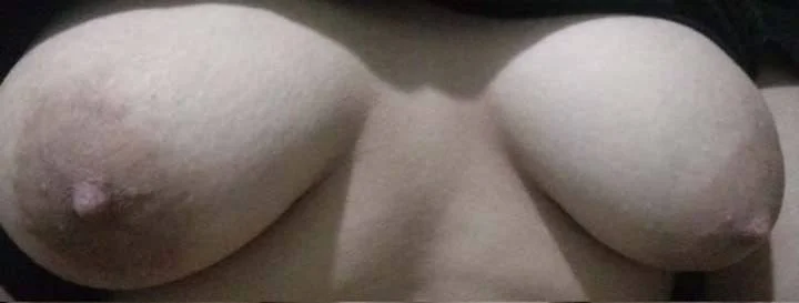 Que les parece esta puta zorra tetona image 2