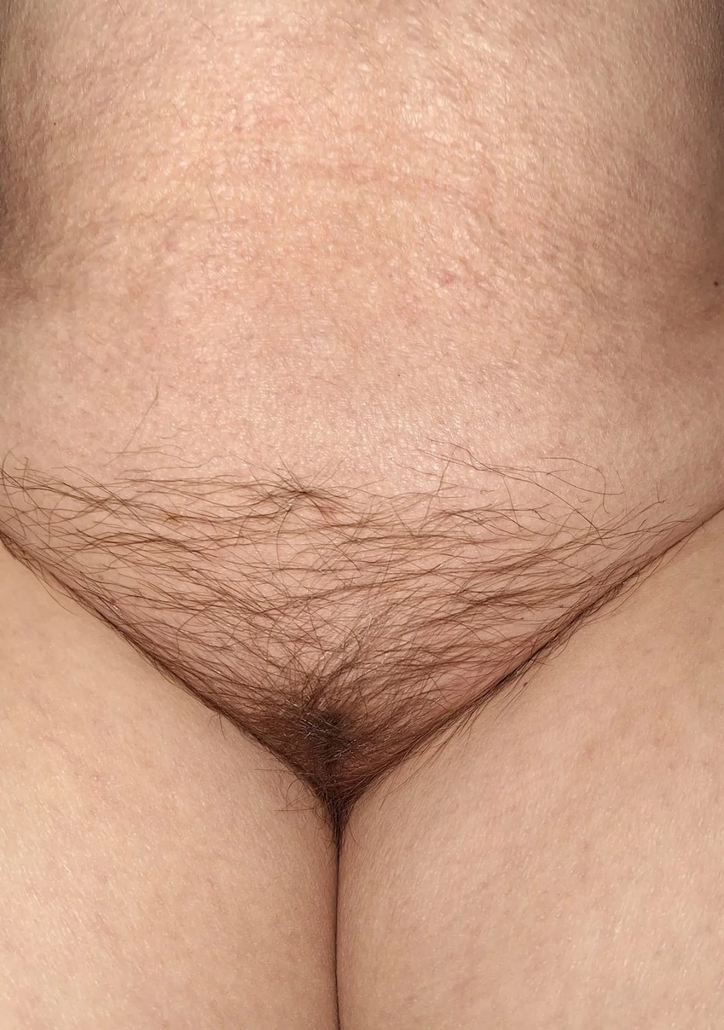 The beautiful body and sexy breasts of my little Brockenhexe. image 13
