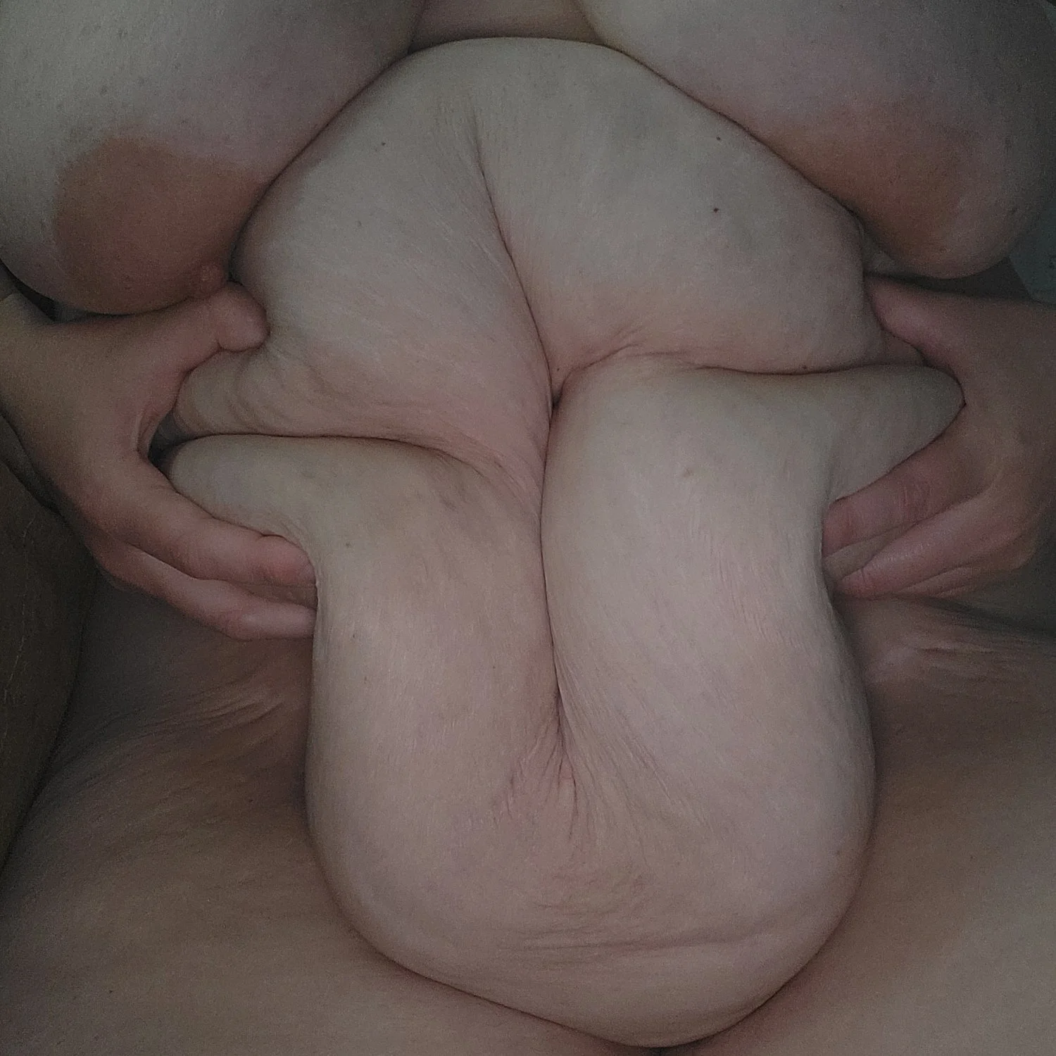 Big fat saggy pig image 6