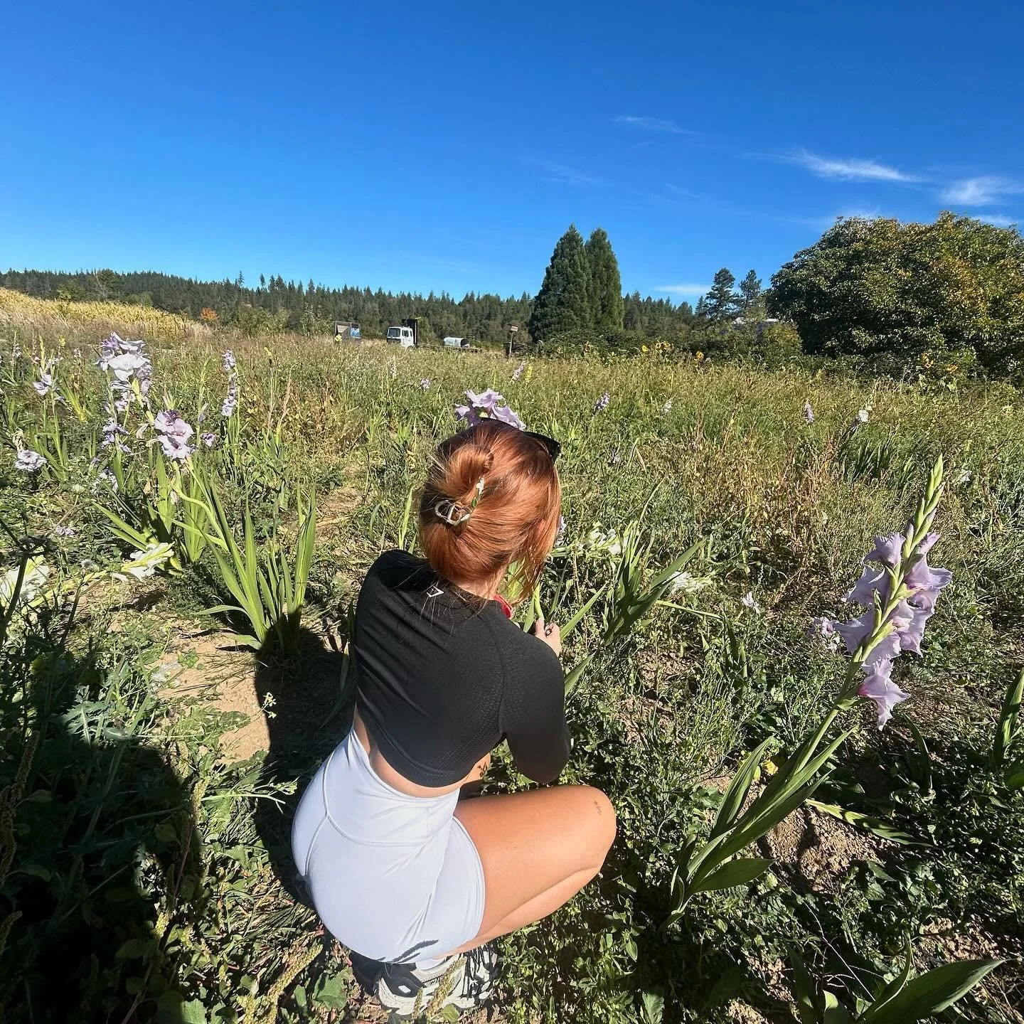 Sexy thicc petite teen Mikayla image 39