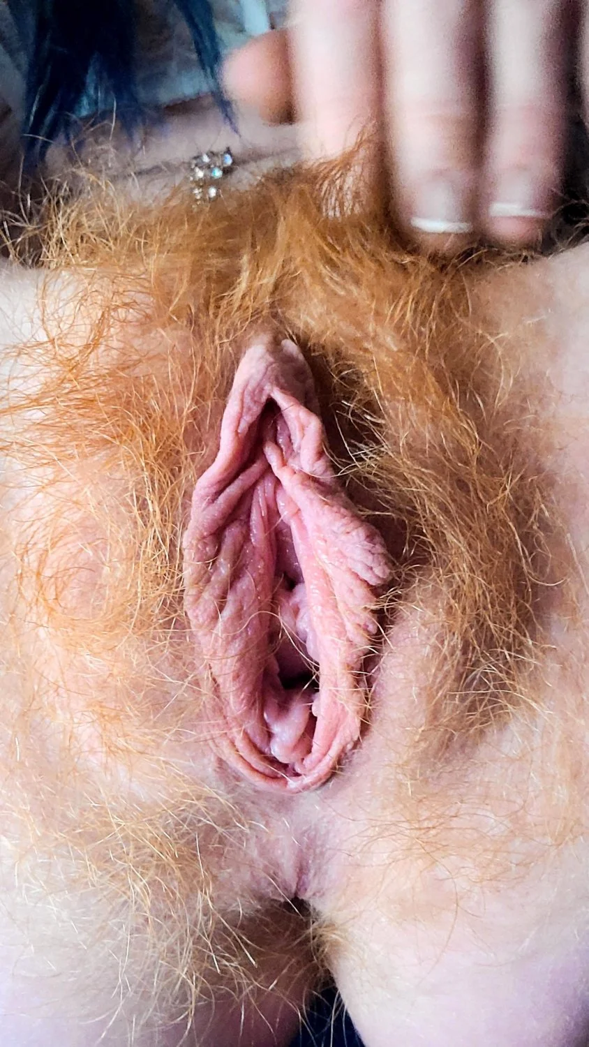 Ginger minge image 5