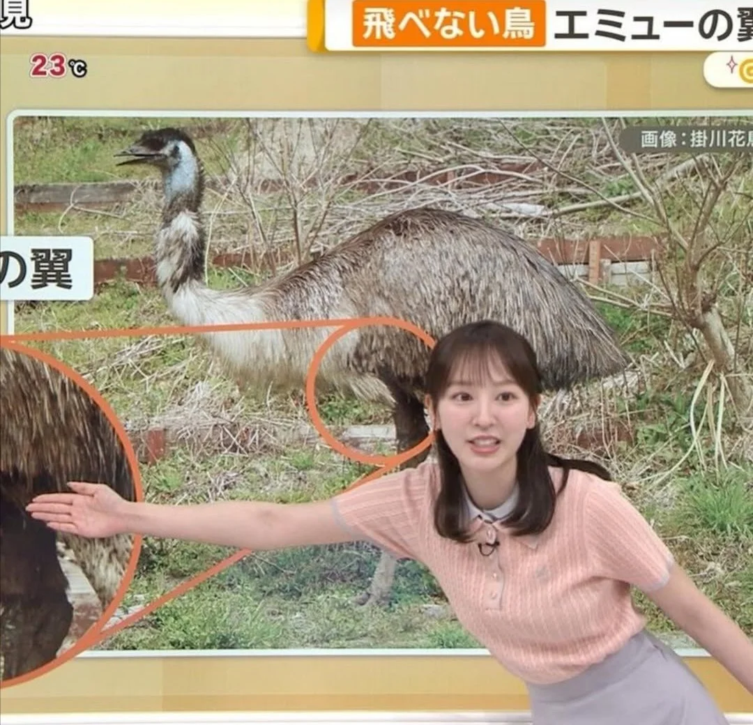 🔚Japanese　顔抜き　アナウンサー　佐々木若葉　ソフトエロ　一発やりたい image 11