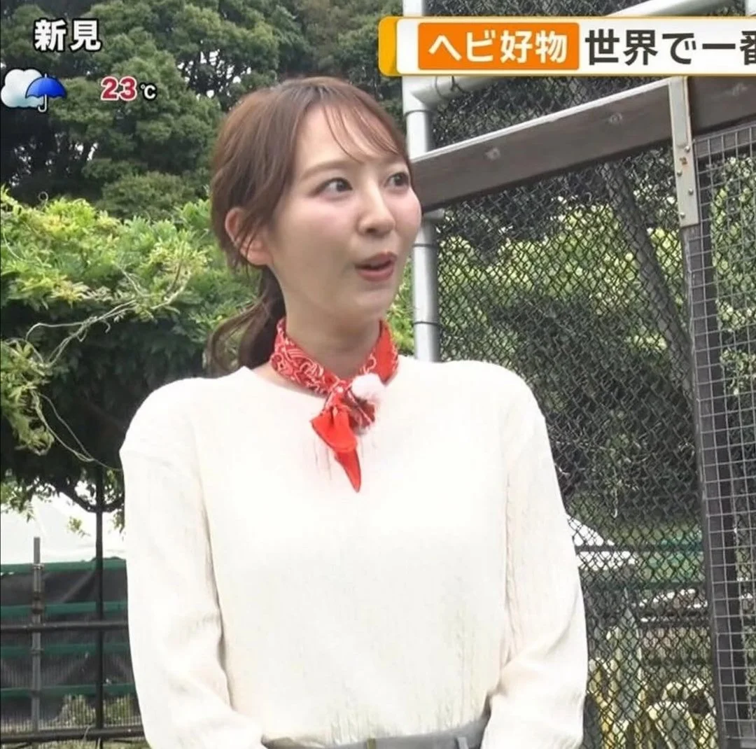 🔚Japanese　顔抜き　アナウンサー　佐々木若葉　ソフトエロ　一発やりたい image 5