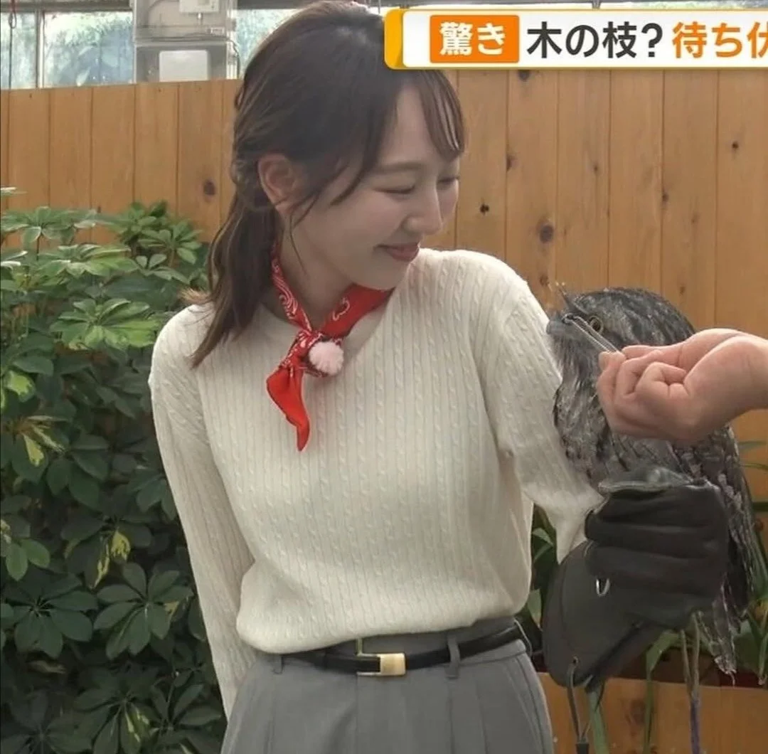 🔚Japanese　顔抜き　アナウンサー　佐々木若葉　ソフトエロ　一発やりたい image 7