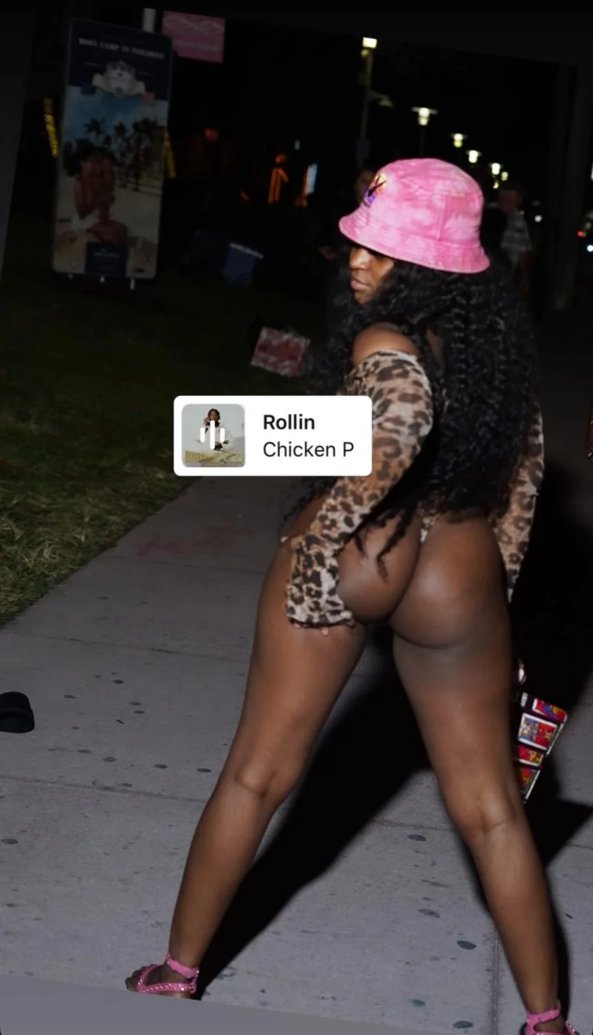 Pyt hood Ebony image 5