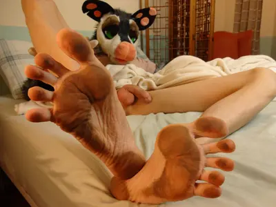 Murrsuiter Feet #23 cover image