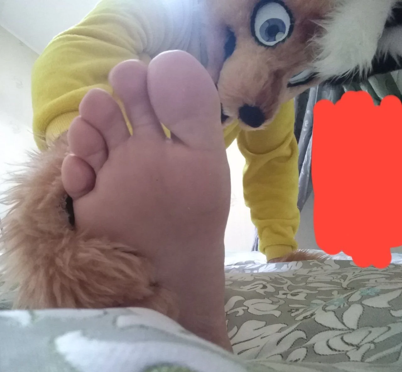 Murrsuiter Feet #23 image 36