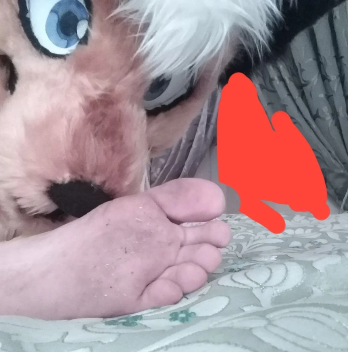 Murrsuiter Feet #23 image 39
