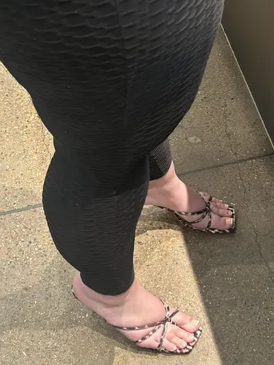 Pawg cover image