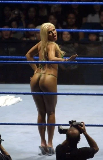 Torrie Wilson image 11