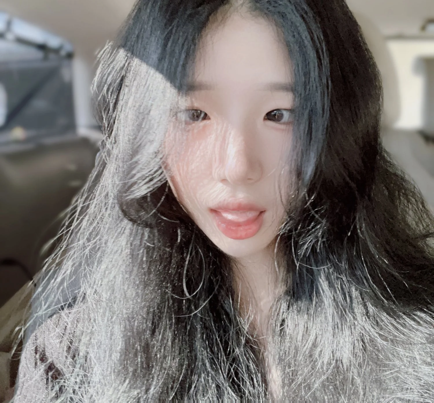 Asian TikTok Ragdoll main image