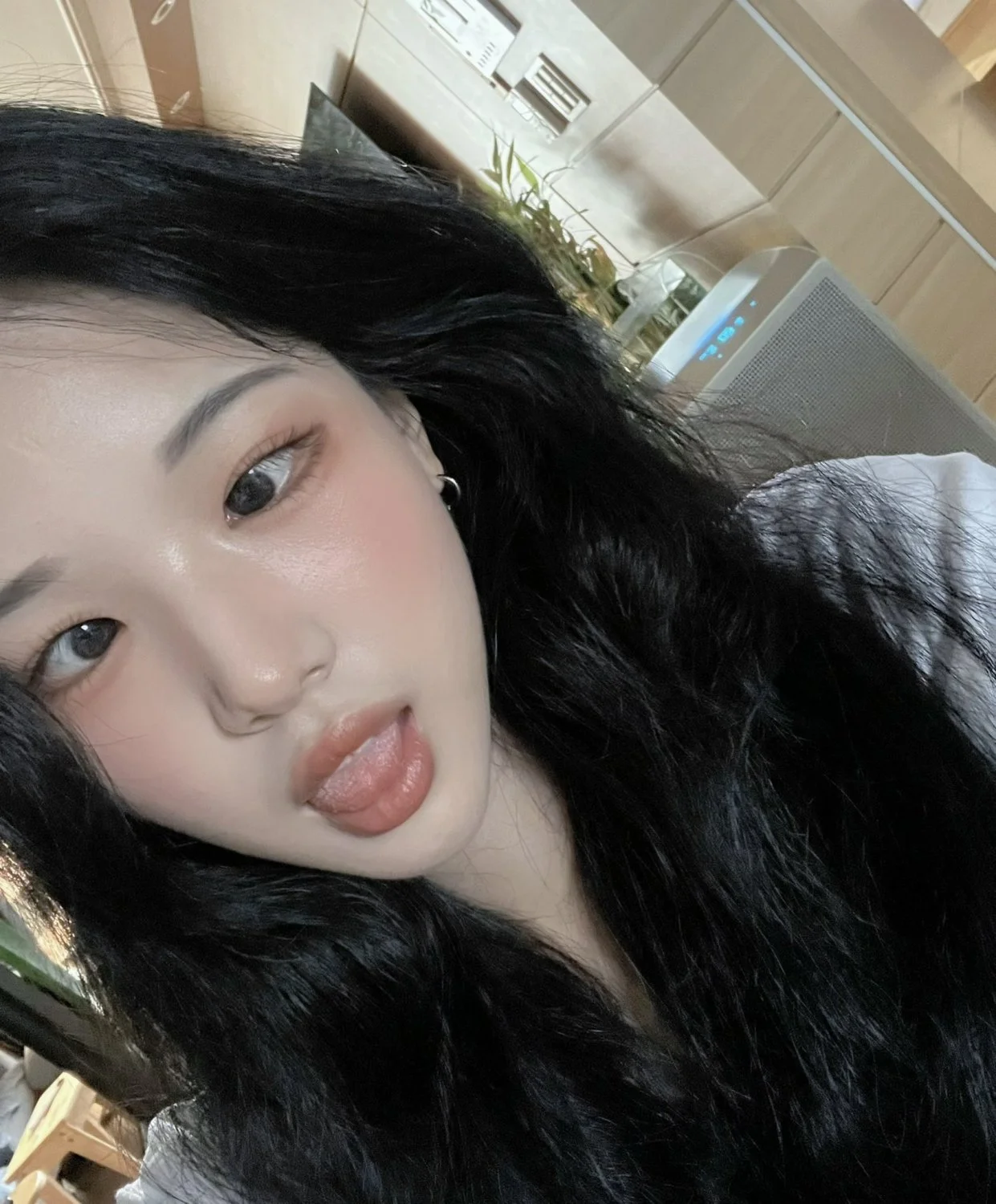 Asian TikTok Ragdoll image 13
