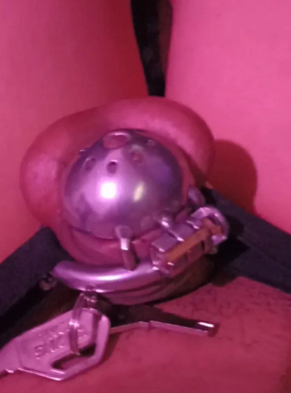 Permanent chastity main image
