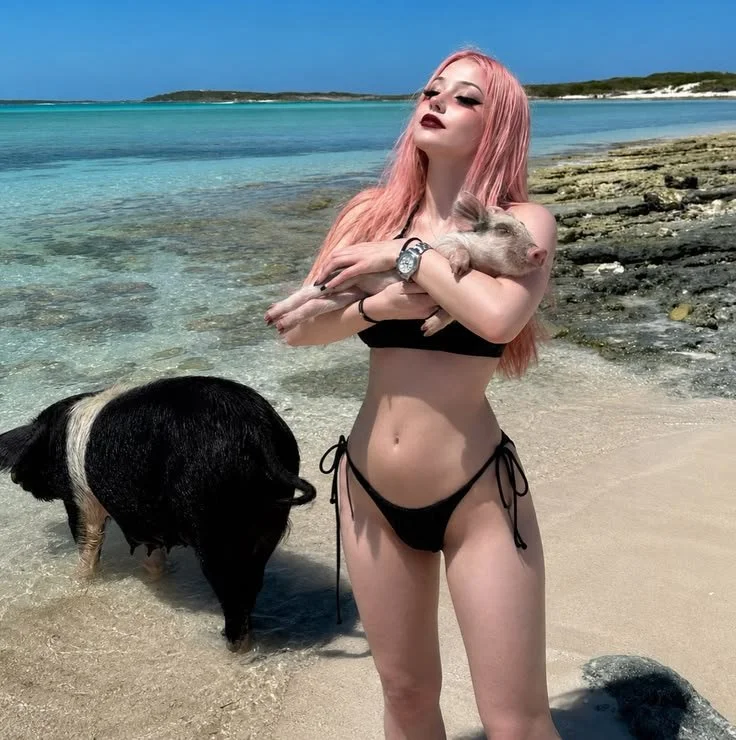 Tom's hot girls in very sexy bikinis 😎 image 6