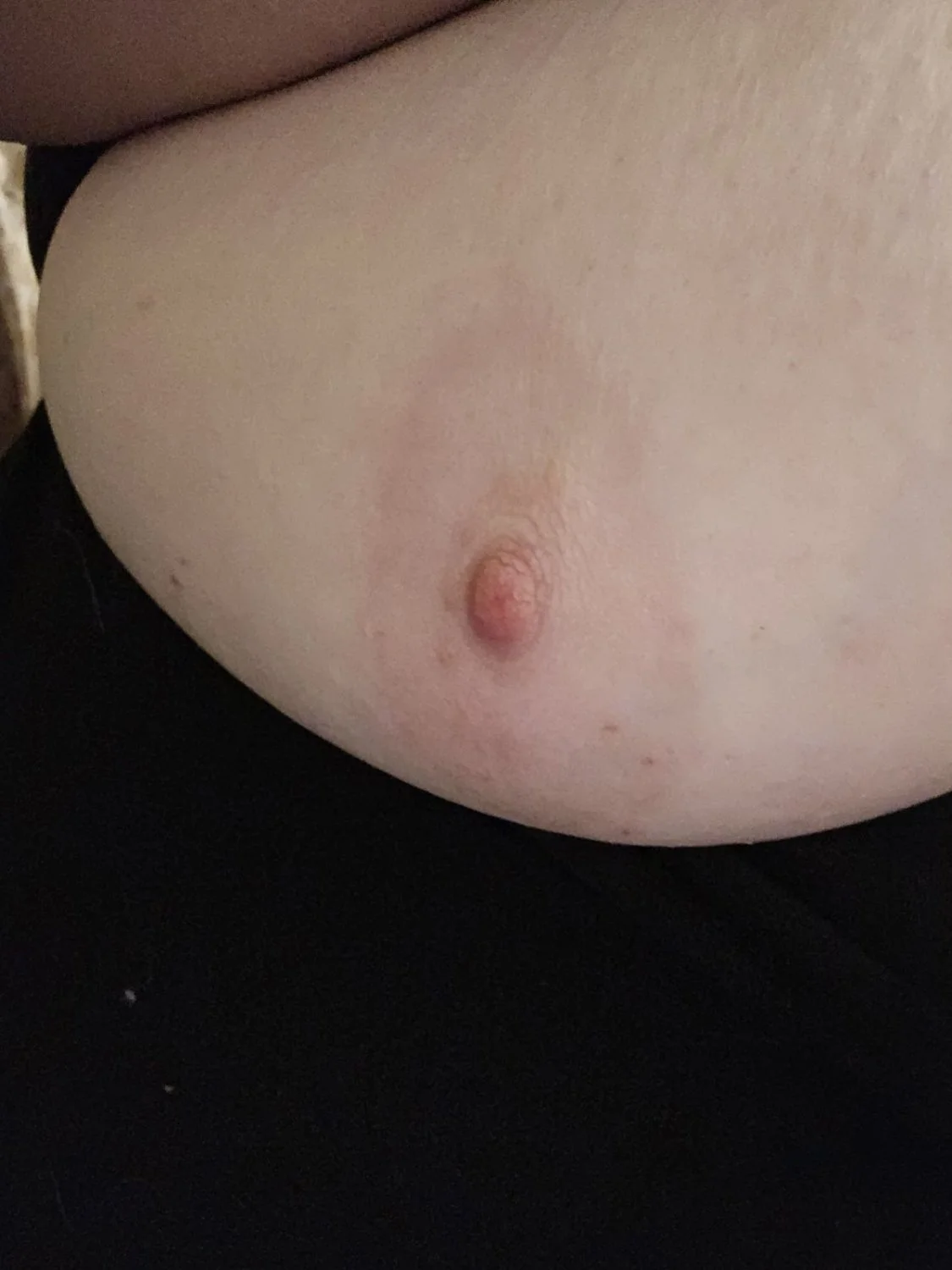 Bbw from the bar image 12