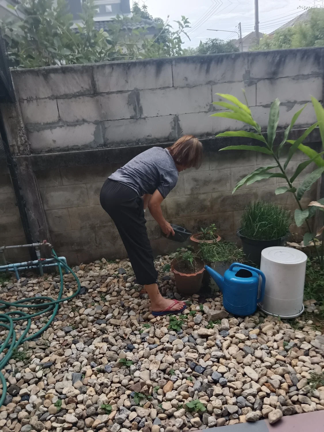 My 62 year old Asian GILF mom 4. image 41