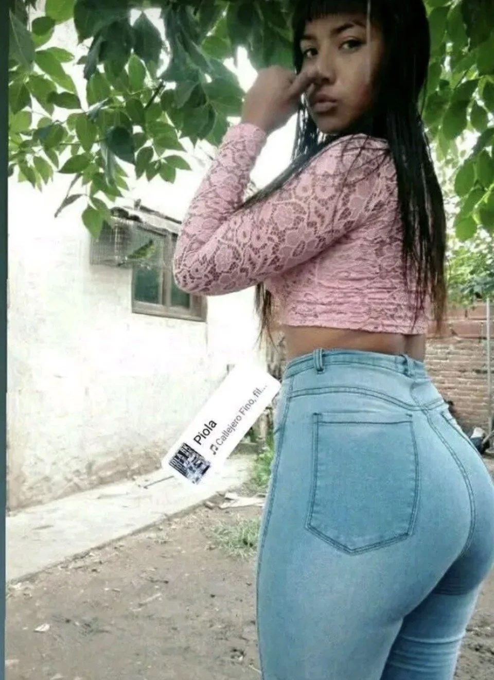 Mendocina puta image 3